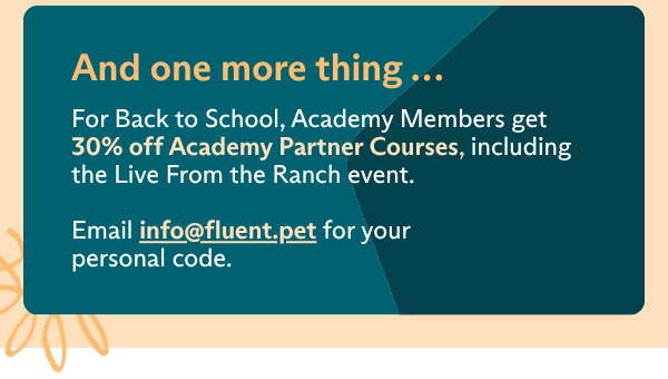 Back to School Sale
