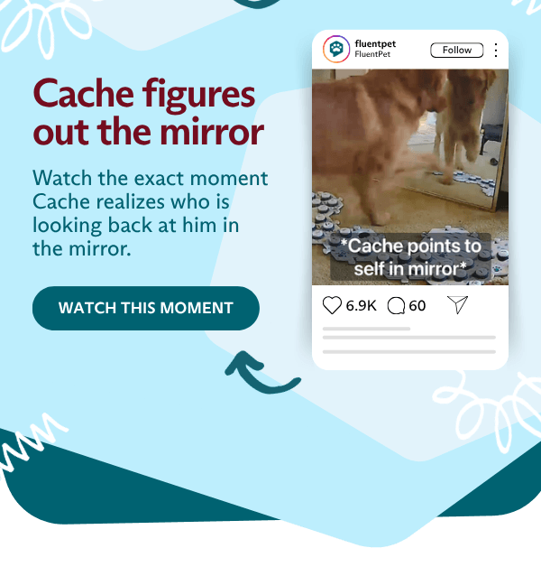 Cache