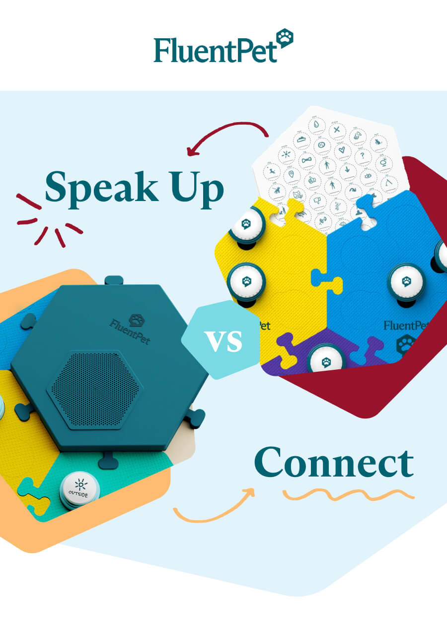 Speak Up vs Connect