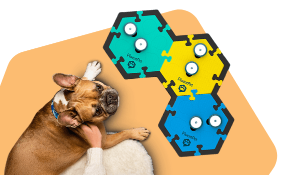 Whether you are introducing your first word or expanding an existing soundboard, learner buttons are designed to make communication simple and clear for your dog or cat.