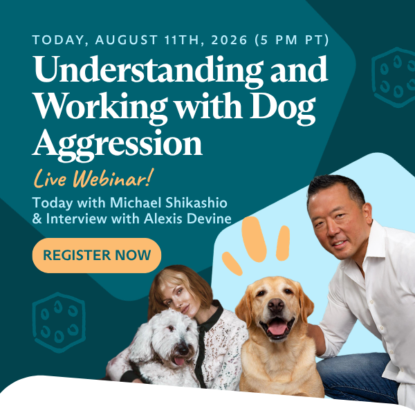 Dog Aggression Webinar with Mike Shikashio