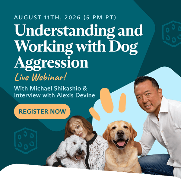 Dog Aggression Webinar with Mike Shikashio