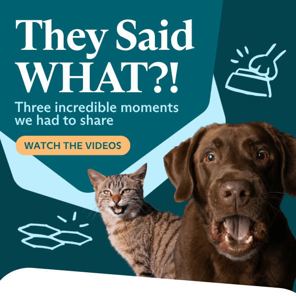 They Said WHAT?!