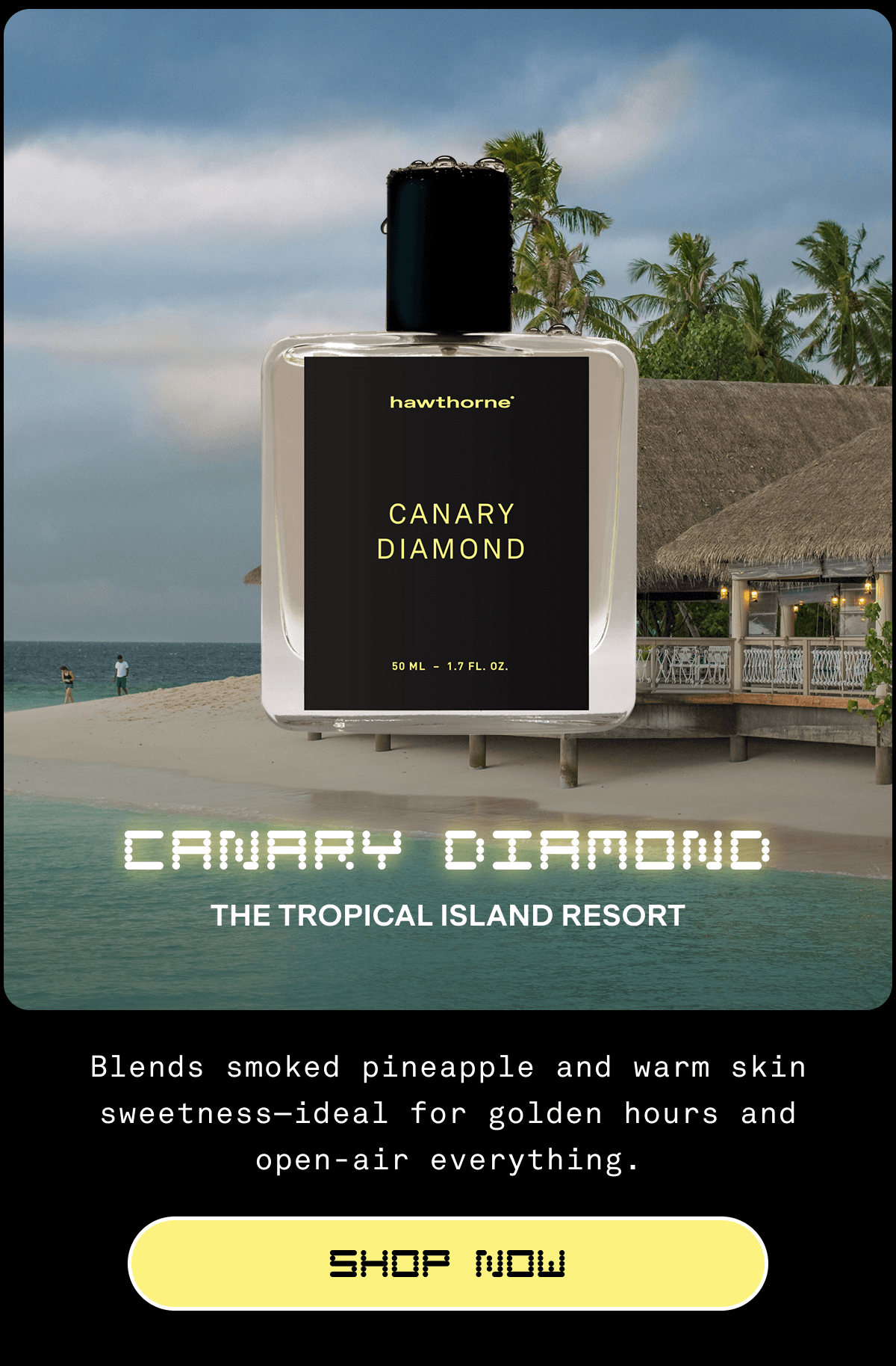 Canary Diamond The Tropical Island Resort Blends smoked pineapple and warm skin sweetness—ideal for golden hours and open-air everything.  SHOP NOW Canary Diamond The Tropical Island Resort Blends smoked pineapple and warm skin sweetness—ideal for golden hours and open-air everything.  SHOP NOW