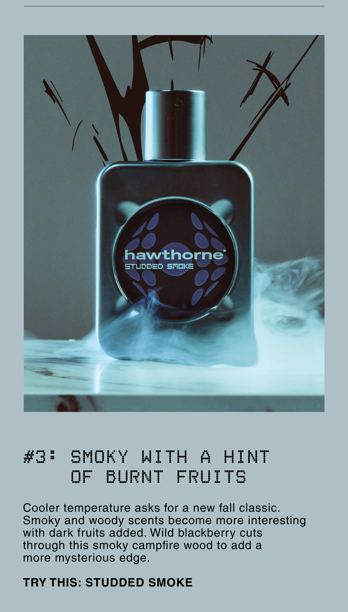 #3: SMOKY WITH A HINT     OF BURNT FRUITS | Cooler temperature asks for a new fall classic. Smoky and woody scents become more interesting with dark fruits added. Wild blackberry cuts through this smoky campfire wood to add a more mysterious edge.  TRY THIS: STUDDED SMOKE