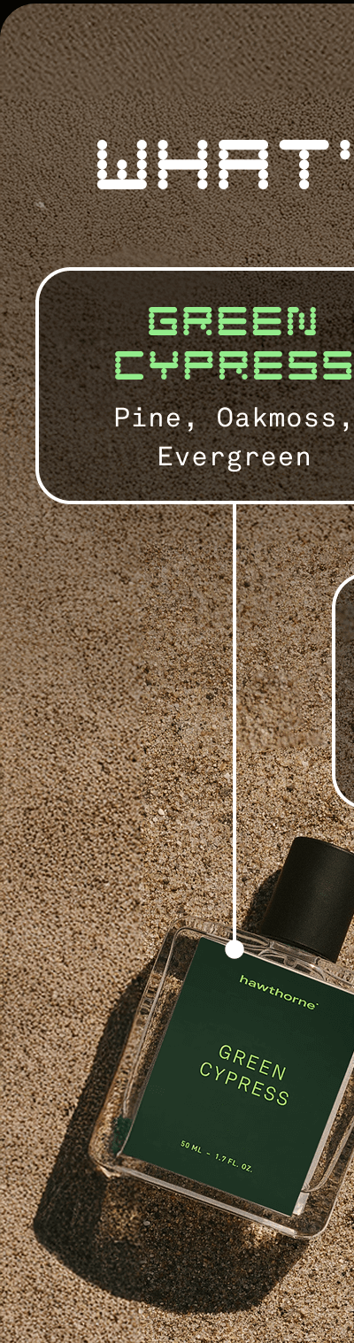 GREEN CYPRESS | Pine, Oakmoss, Evergreen GREEN CYPRESS | Pine, Oakmoss, Evergreen