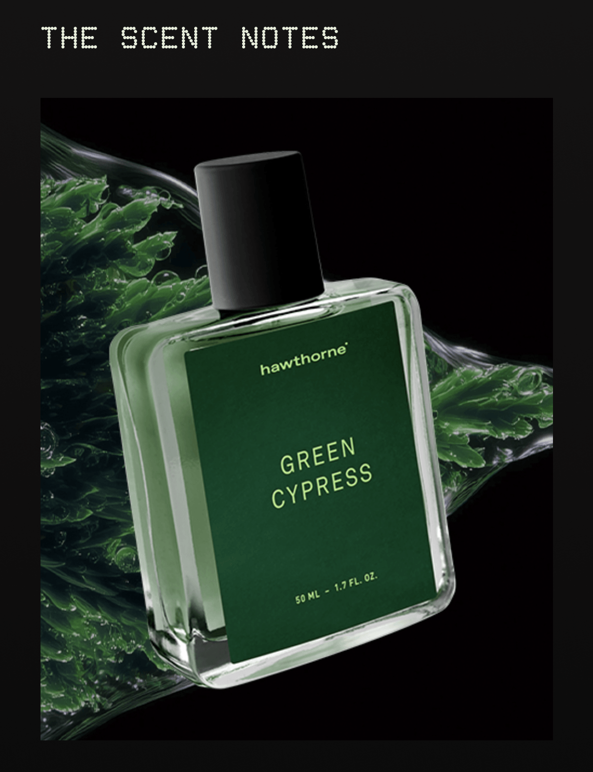 THE SCENT NOTES