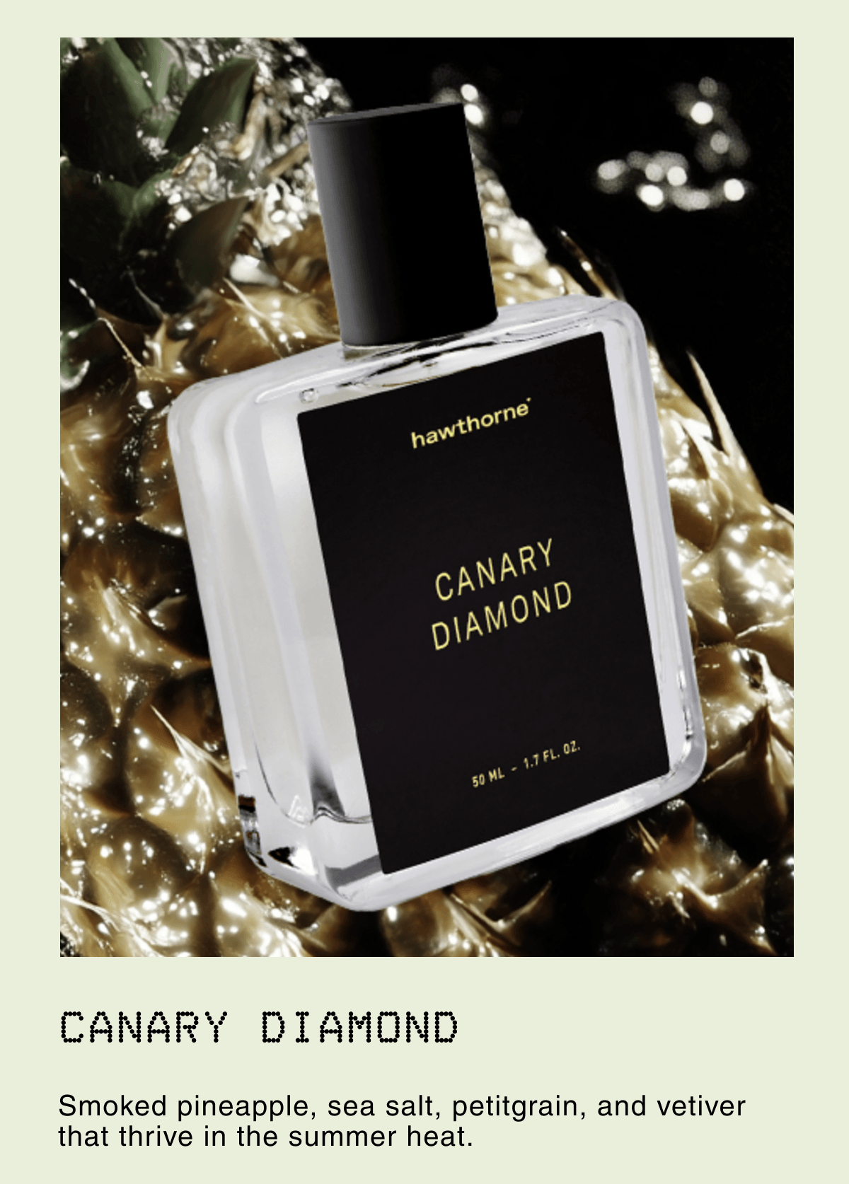 Canary Diamond | Smoked pineapple, sea salt, petitgrain, and vetiver that thrive in the summer heat.