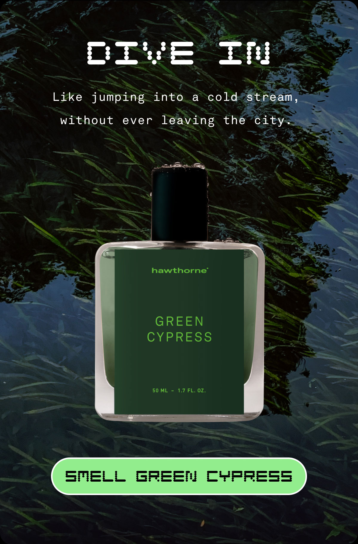 DIVE IN  Like jumping into a cold stream, without ever leaving the city. | Smell Green Cypress