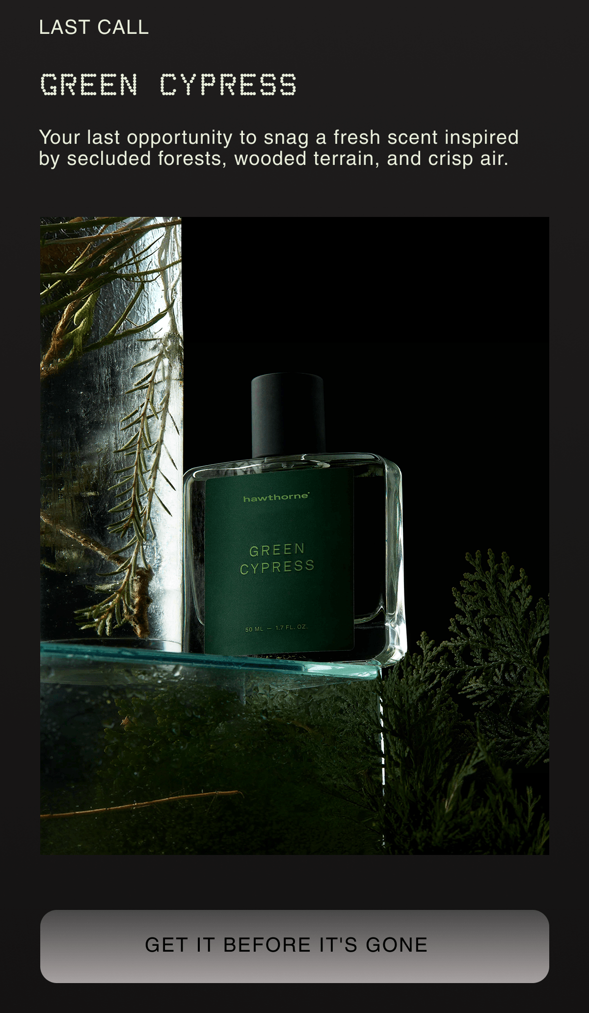 LAST CALL: GREEN CYPRESS Your last opportunity to snag a fresh scent inspired by secluded forests, wooded terrain, and crisp air. | get it before it's gone