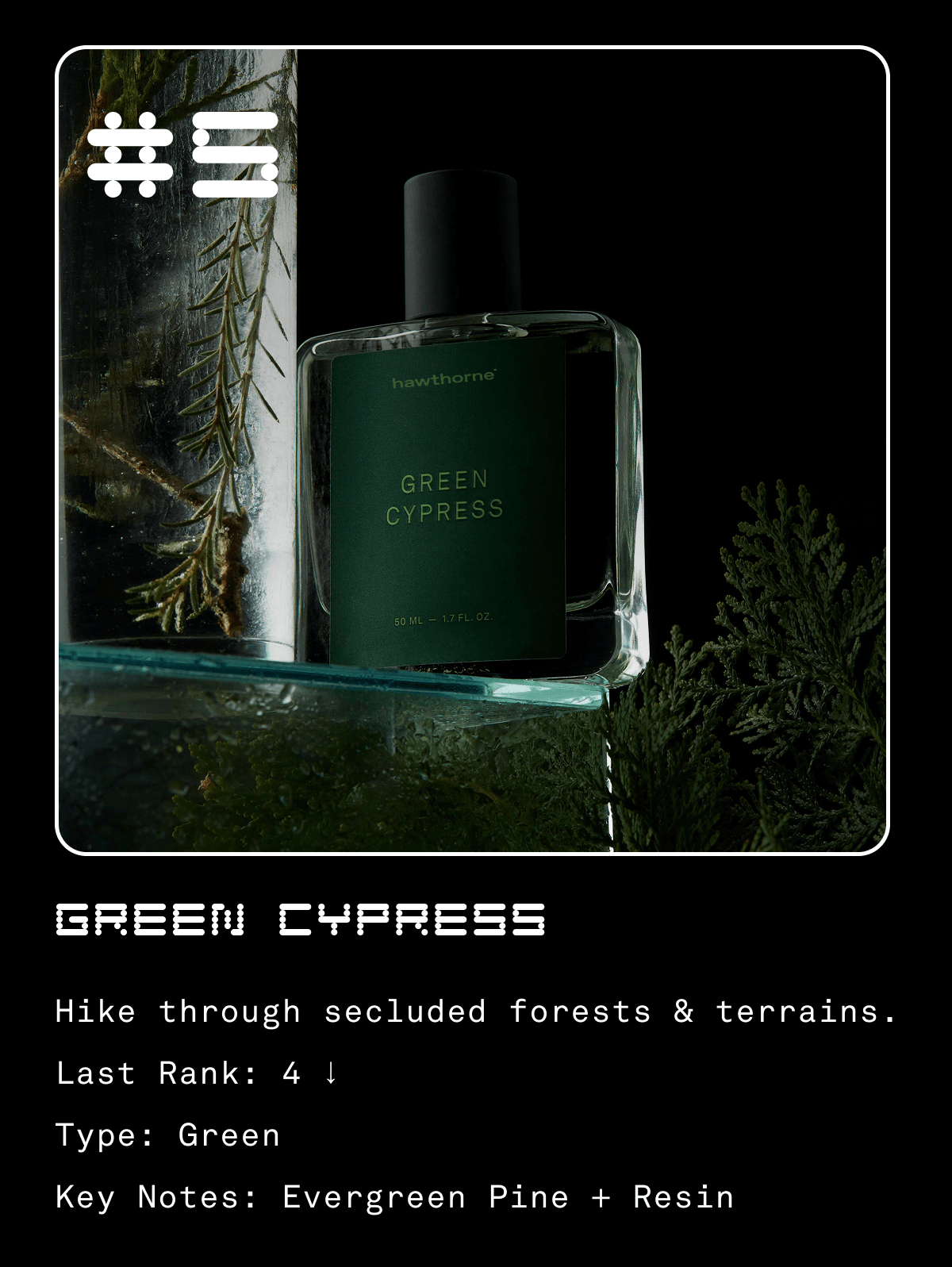 #5 Green Cypress Hike through secluded forests and terrains. Last Rank: 4 ↓ Type: Green Key Notes: Evergreen Pine + Resin