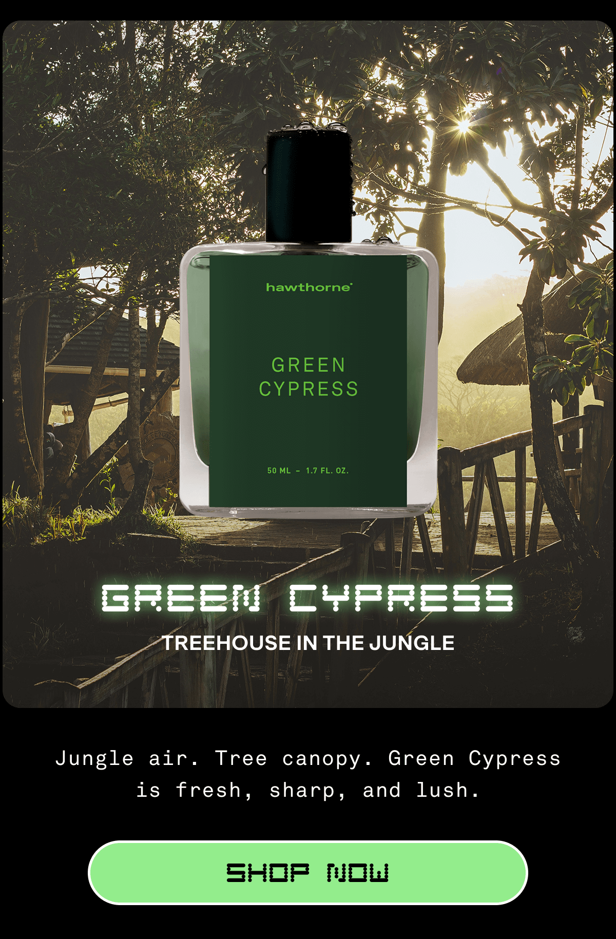 Green Cypress Treehouse in the Jungle Jungle air. Tree canopy. Green Cypress is fresh, sharp, and lush. SHOP NOW Green Cypress Treehouse in the Jungle Jungle air. Tree canopy. Green Cypress is fresh, sharp, and lush. SHOP NOW