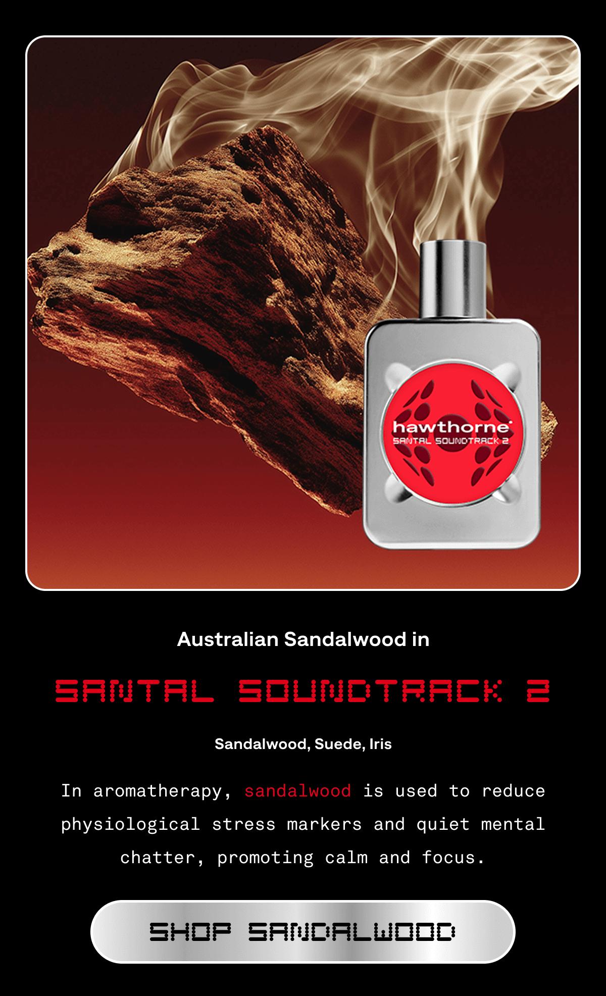 Australian Sandalwood in SANTAL SOUNDTRACK 2 | Sandalwood, Suede, Iris | In aromatherapy, sandalwood is used to reduce physiological stress markers and quiet mental chatter, promoting calm and focus. | Shop Sandalwood