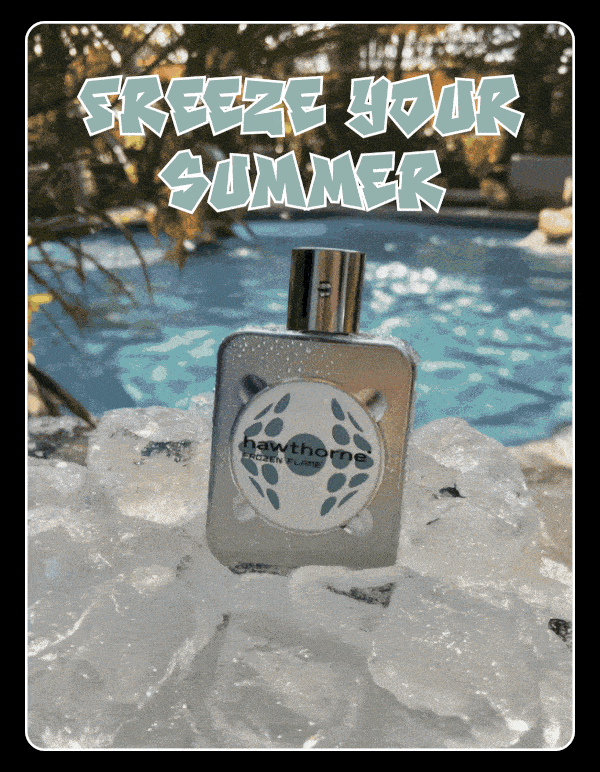 FREEZE YOUR SUMMER