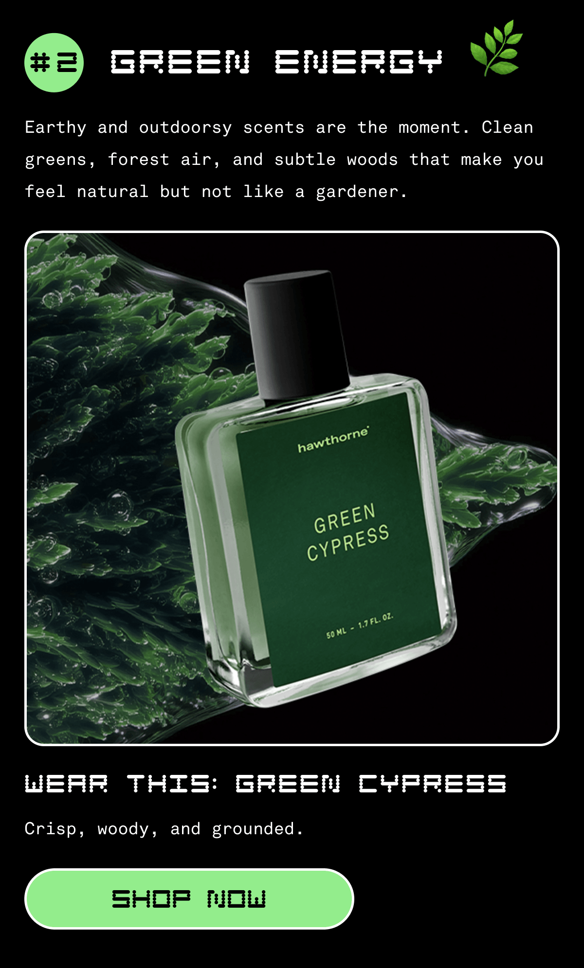 #2 GREEN ENERGY 🌿| Earthy and outdoorsy scents are the moment. Clean greens, forest air, and subtle woods that make you feel natural but not like a gardener. | WEAR THIS: green cypress | Crisp, woody, and grounded. | SHOP NOW
