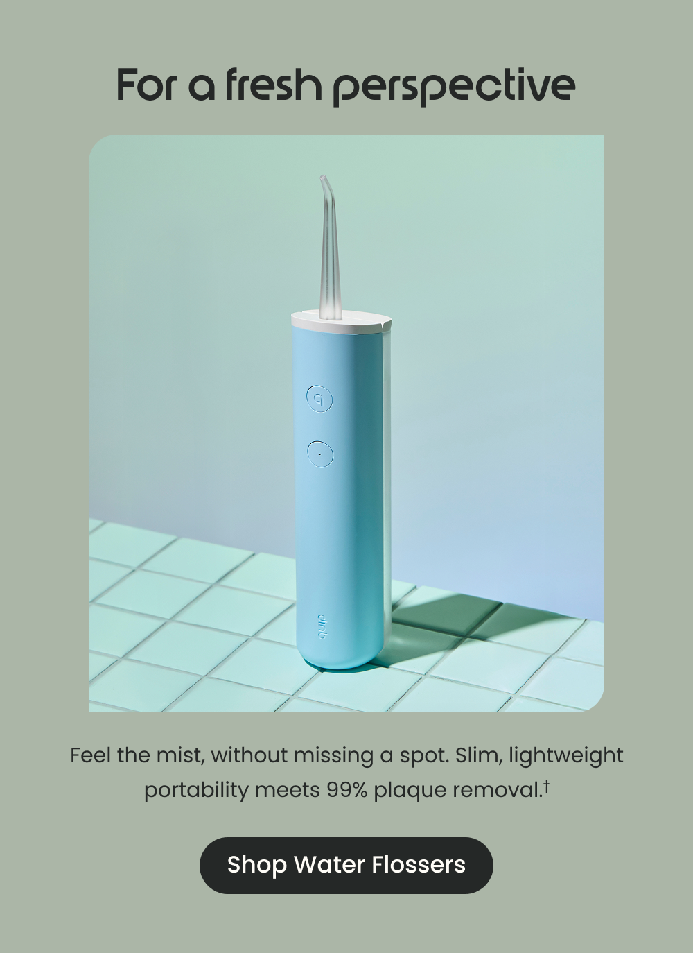 Shop Water Flossers
