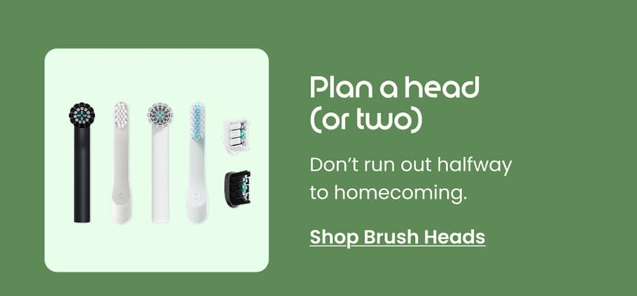 Shop Brush Heads