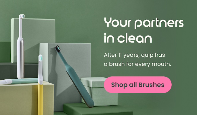 Shop all Brushes