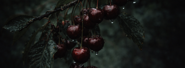 Moody Cherries