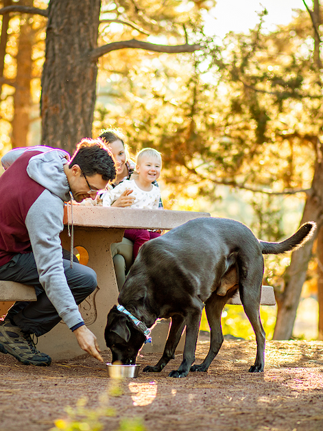 man with his family, sitting at a picnic table, feeding dog outside in a camp ground on a sunny day