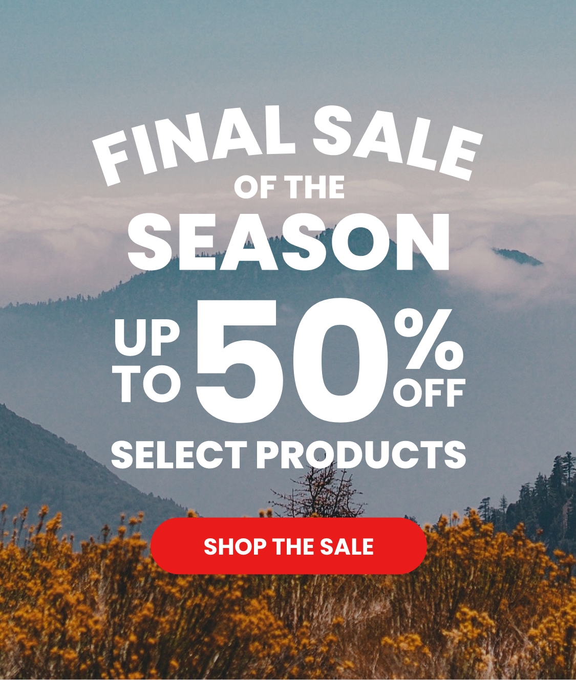 Sale of the Season
