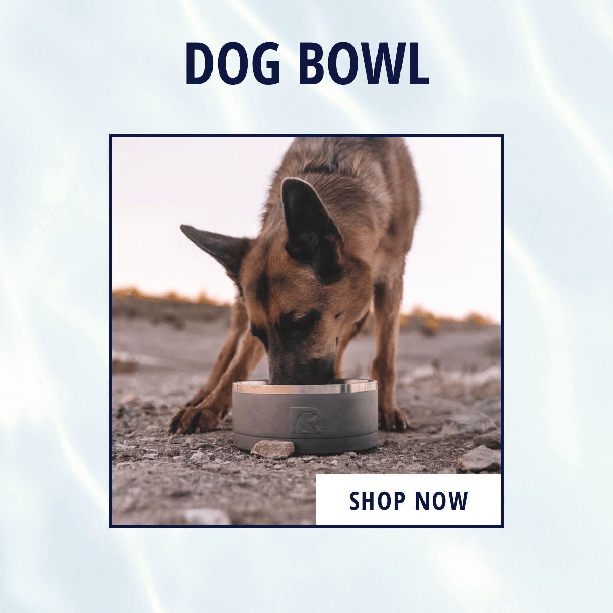 Dog Bowls