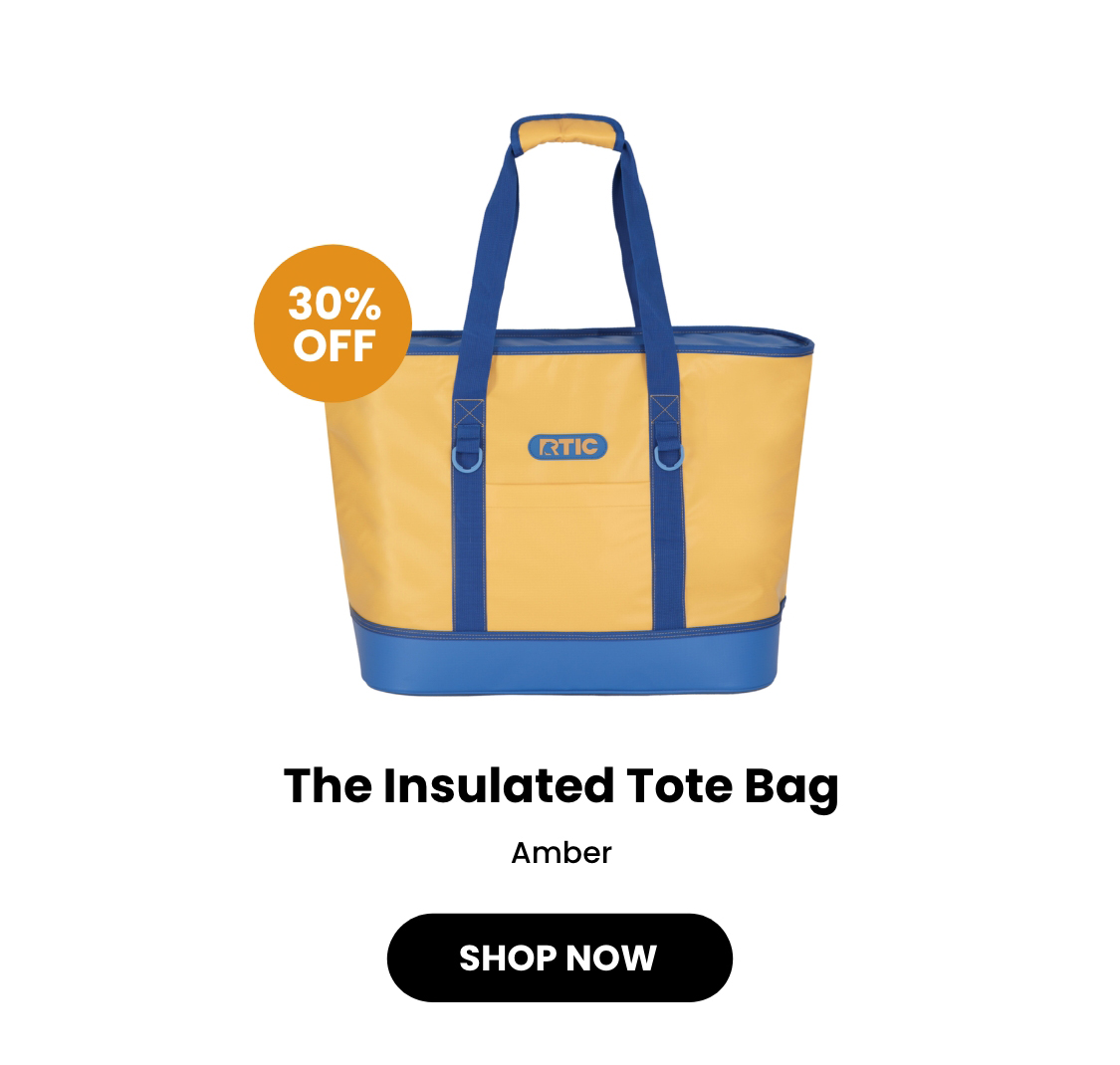 Insulated tote bag