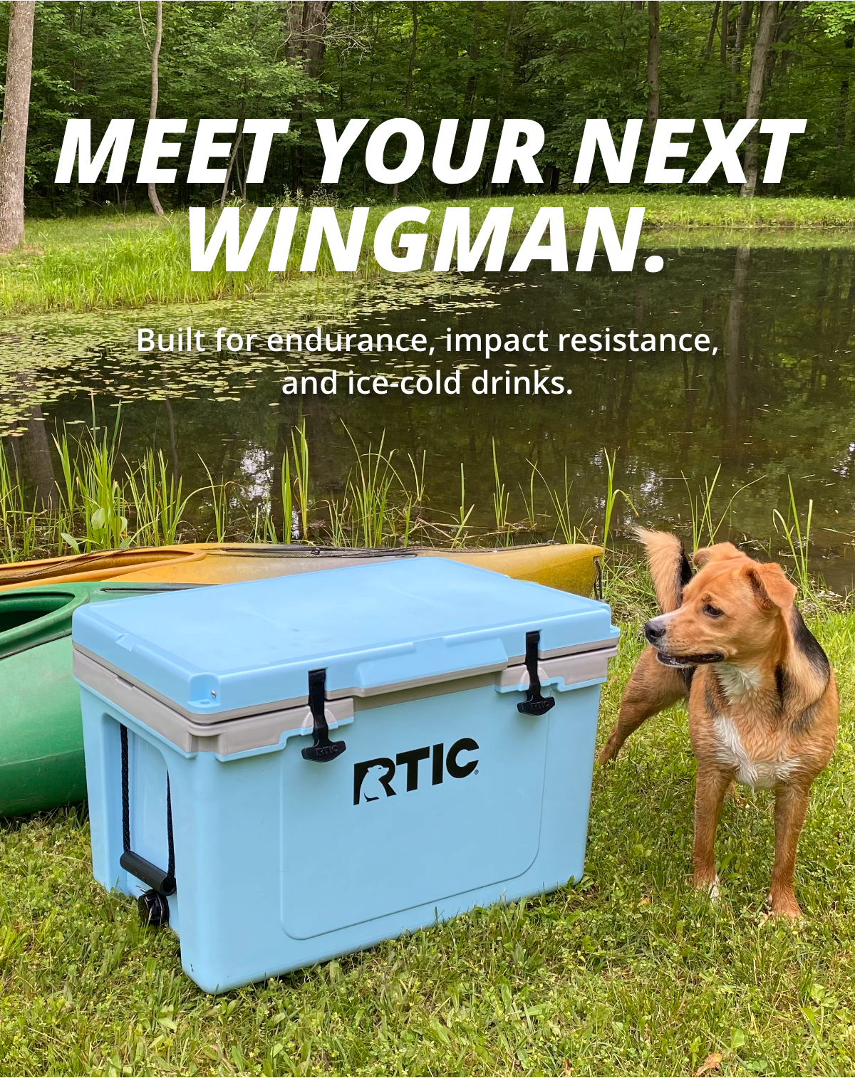 Meet Your Next Wingman