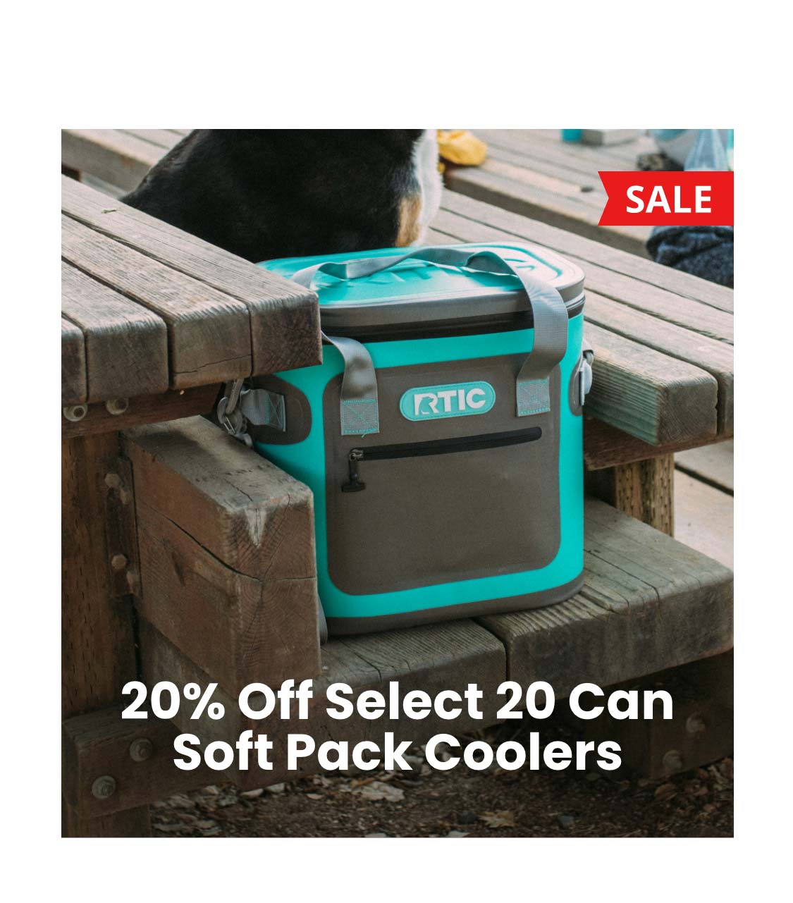 Shop Soft Coolers