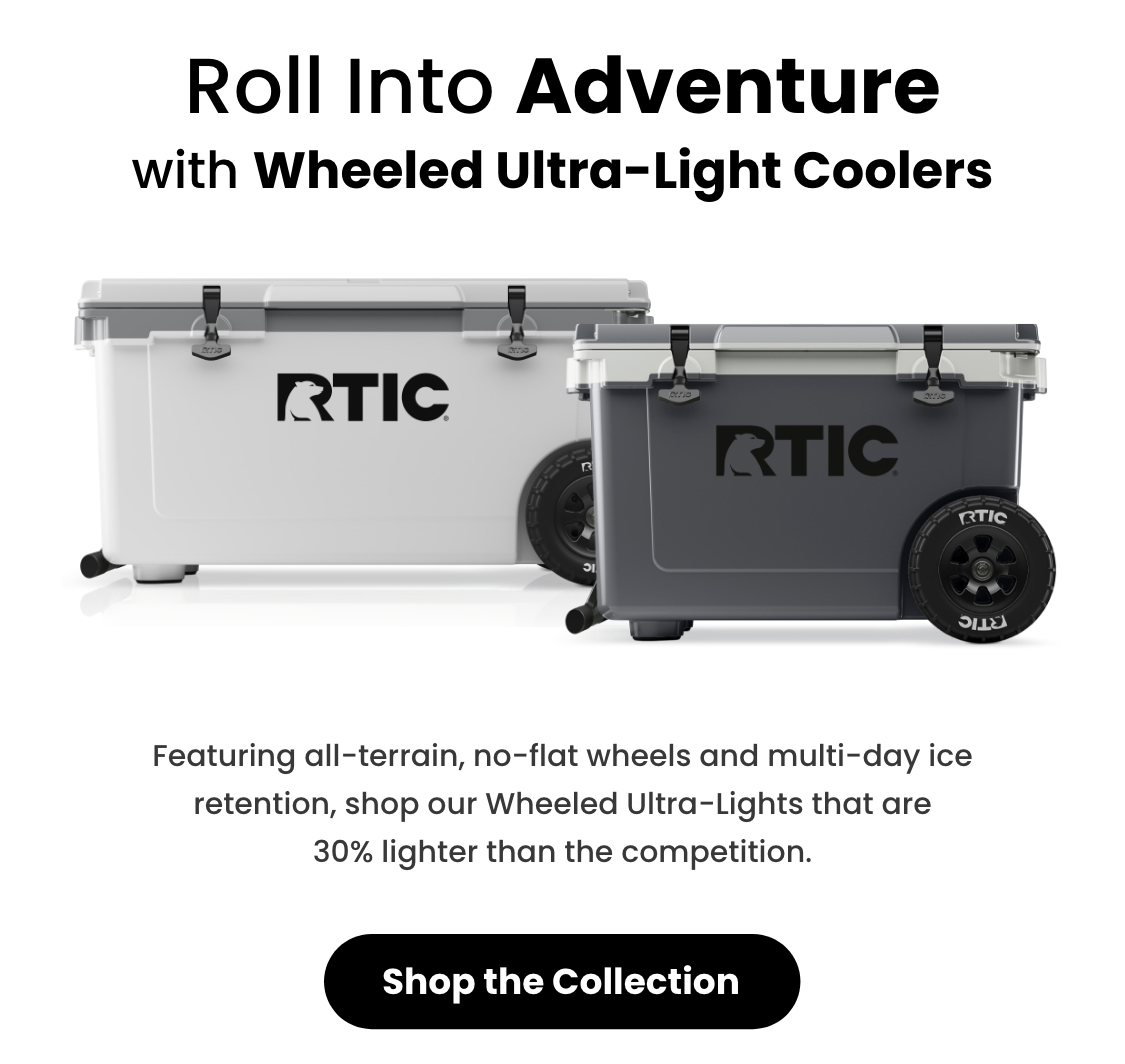 Shop the Collection