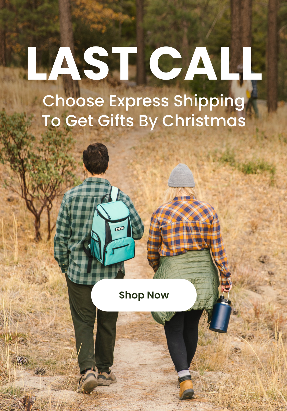 Shop Now