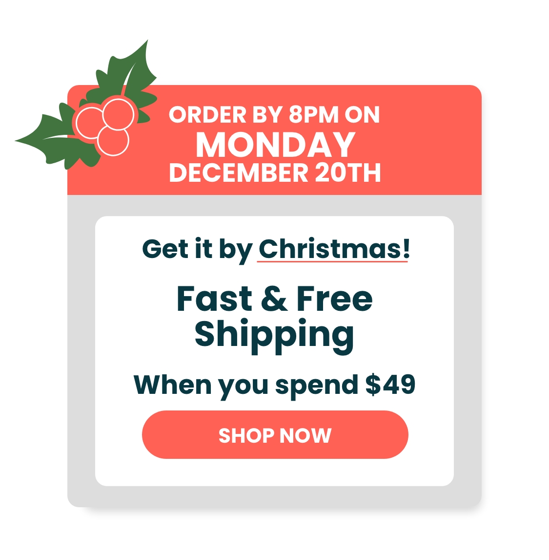 Get it by Christmas!