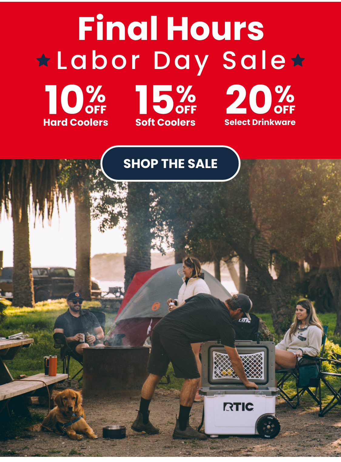 Shop the Sale
