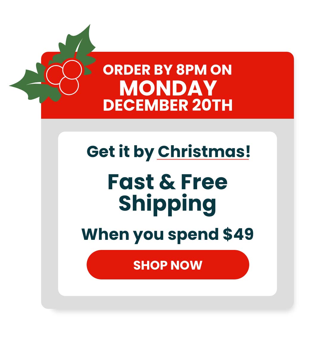 Get it by Christmas!
