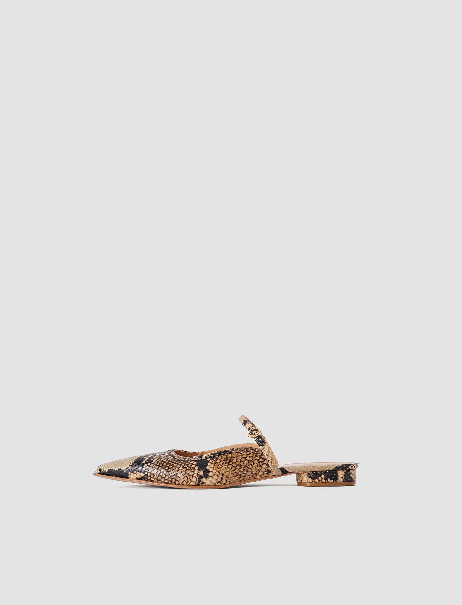 Parisa Snake Print Leather Ballerinas