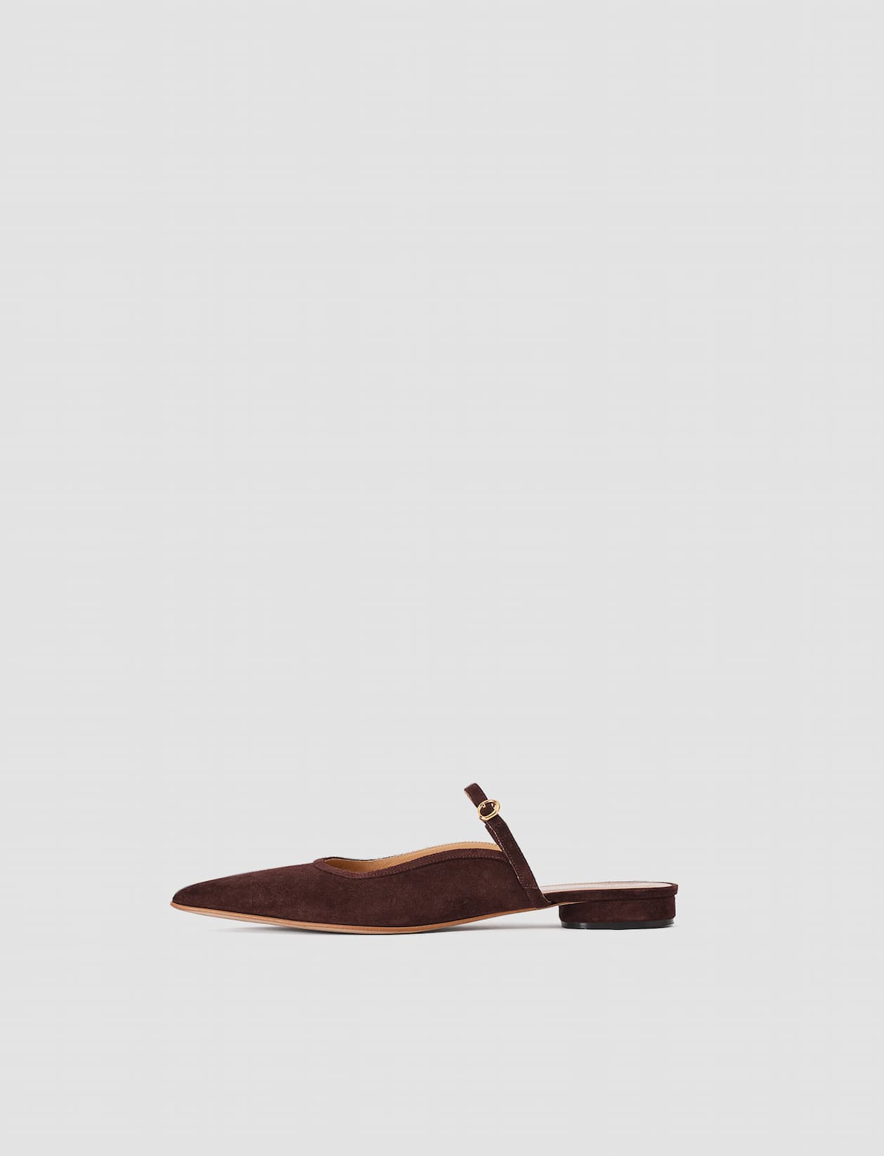 Parisa Pointed Suede Ballerinas