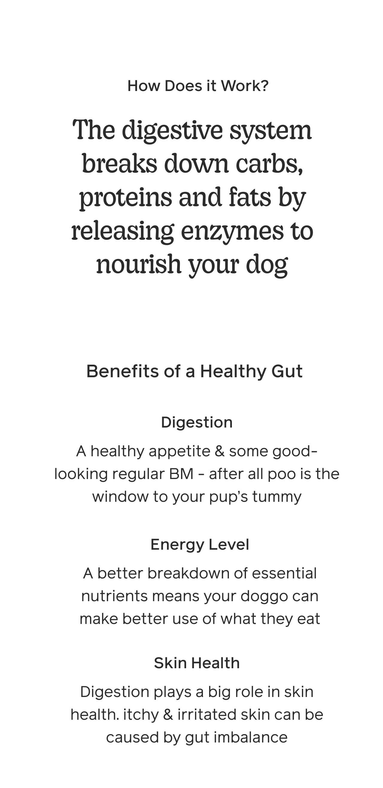 💡 Did You Know Your dog's digestive system affects more than their gut