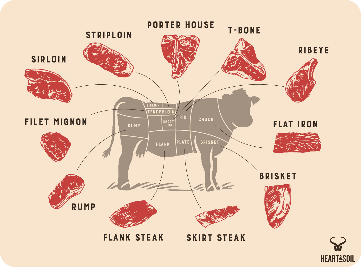 🥩 5 steaks you need to try that aren’t ribeyes Heart & Soil