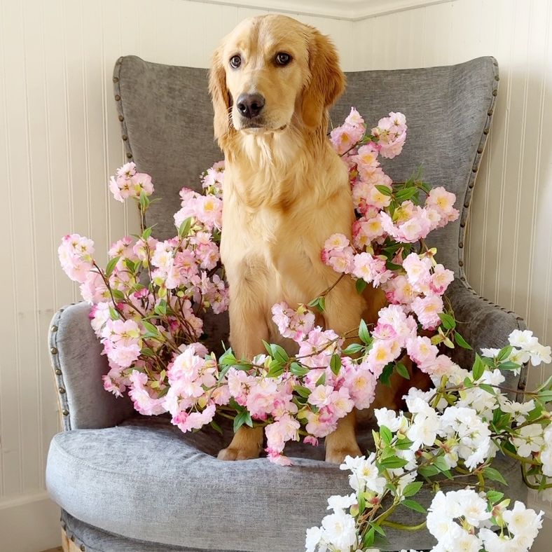 Shop Easter Décor
