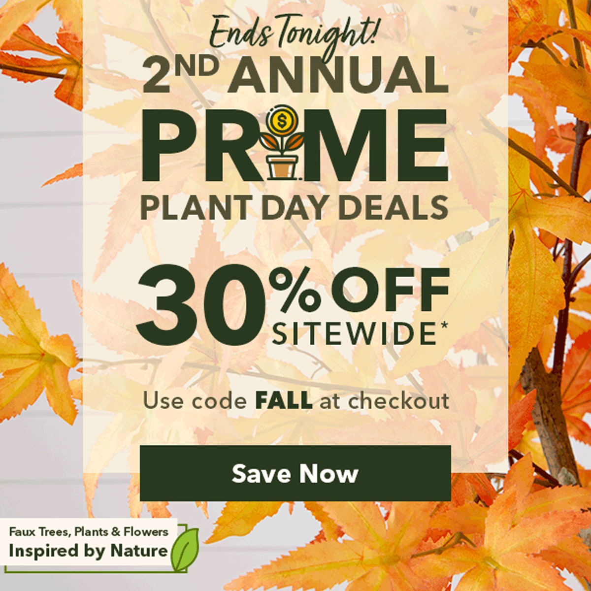 30% OFF SITEWIDE