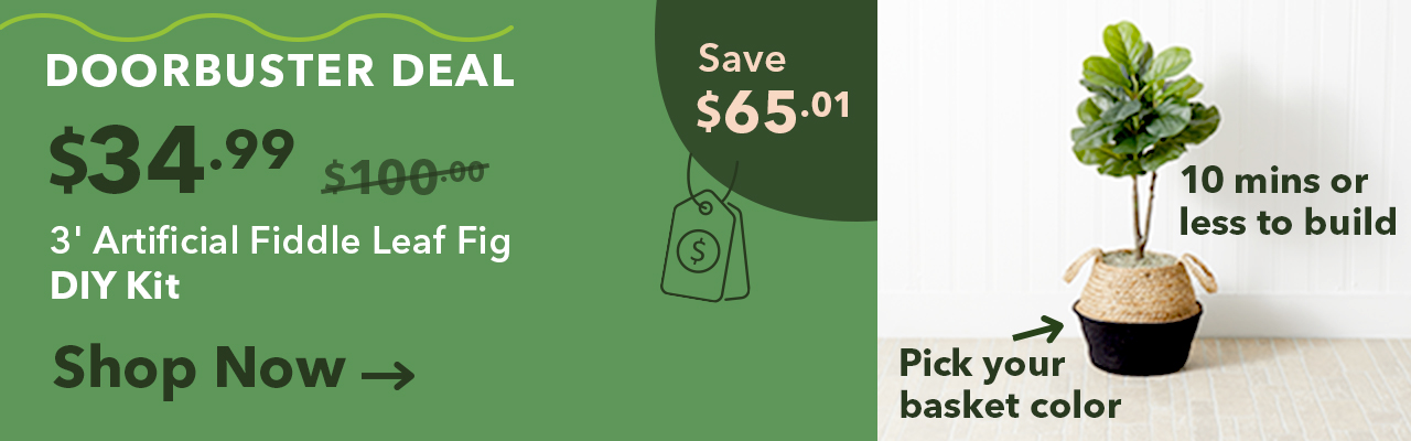 doorbuster deal