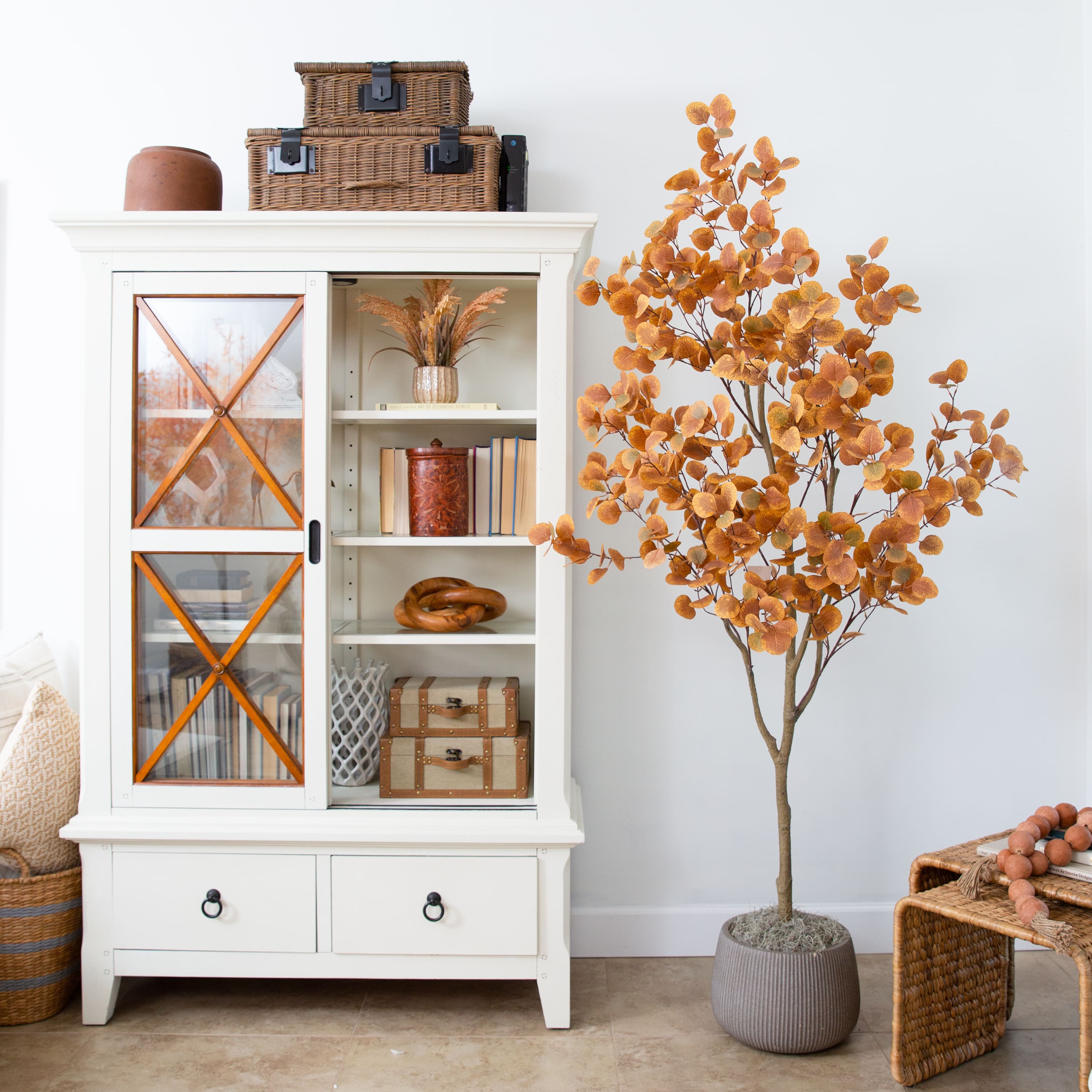 Shop eucalyptus trees