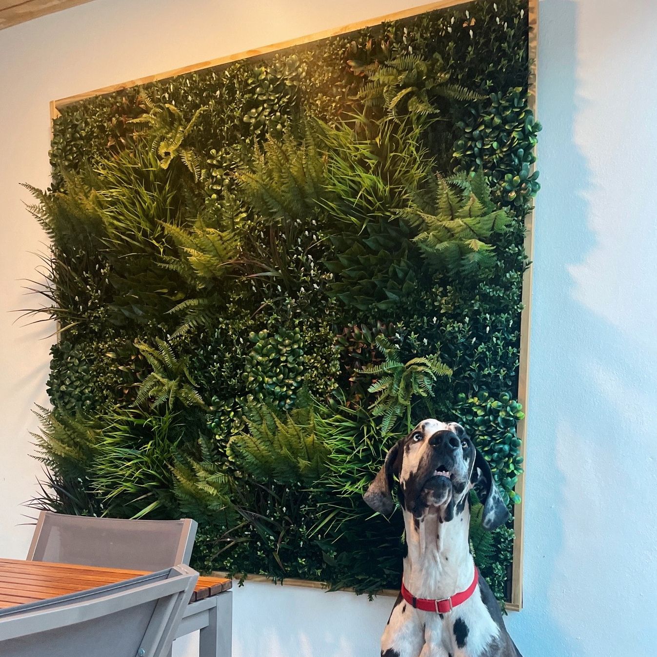 shop outdoor wall mats