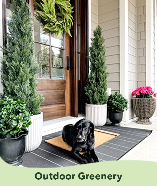 Shop Outdoor Greenery