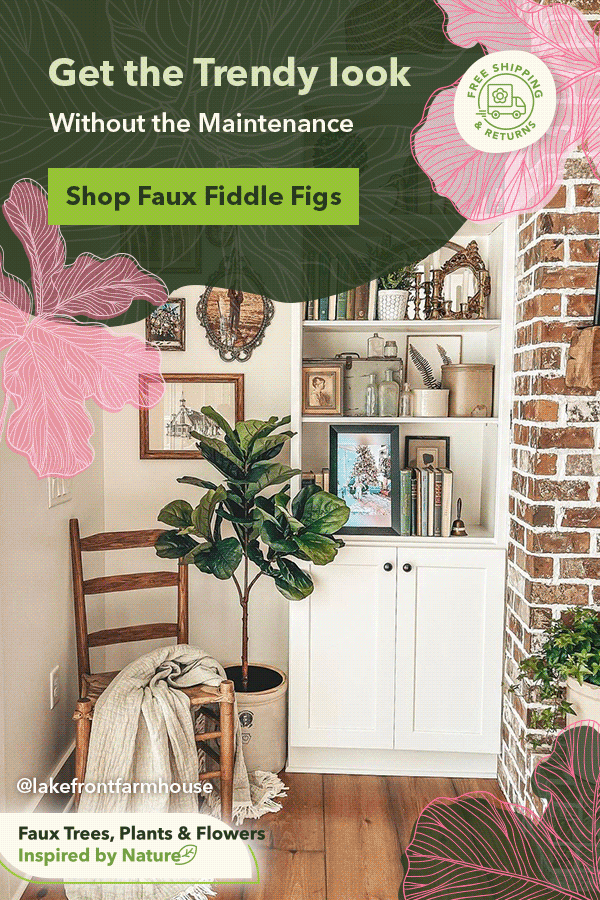 Shop Trendy Fiddle Trees