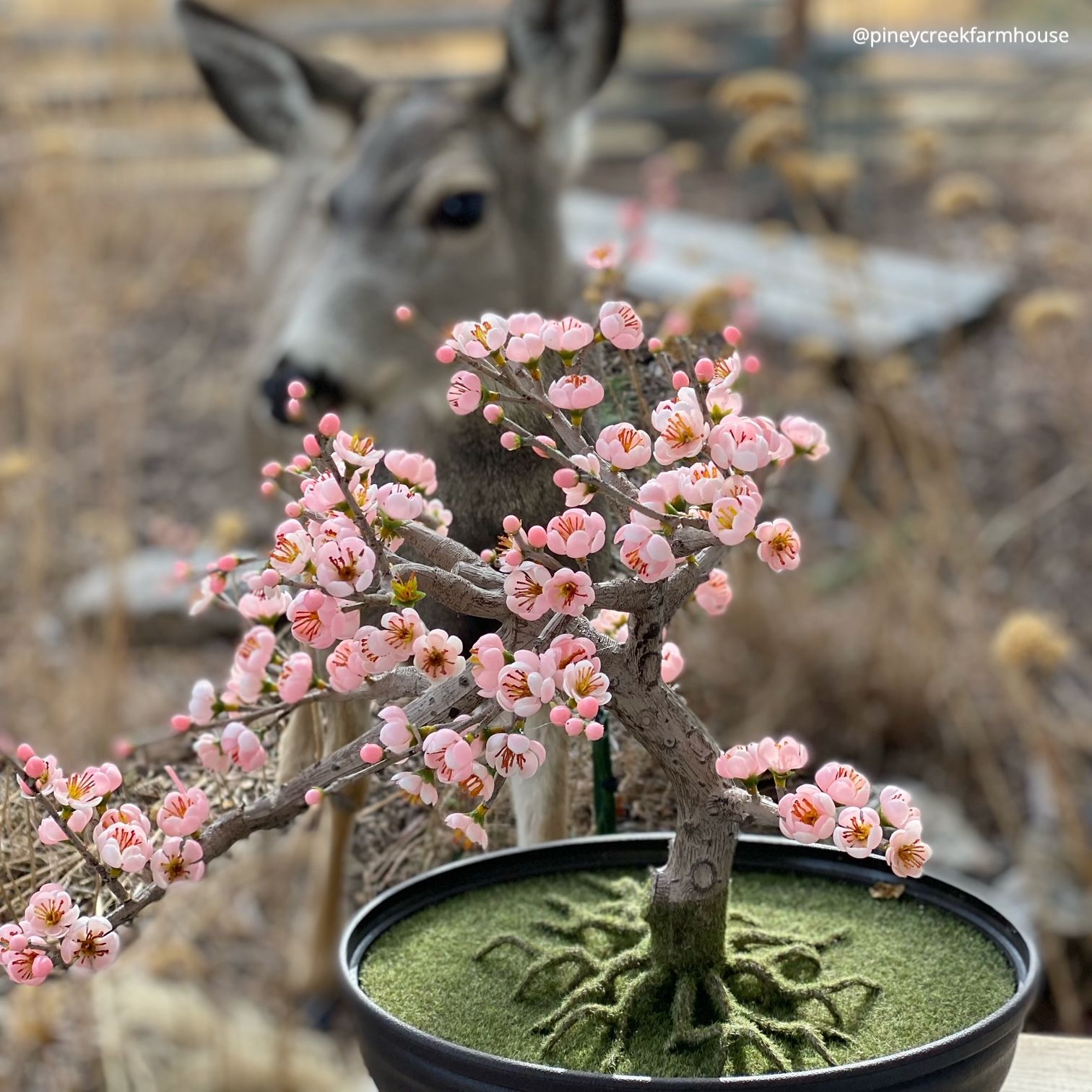 Outdoor Flower Arrangements
