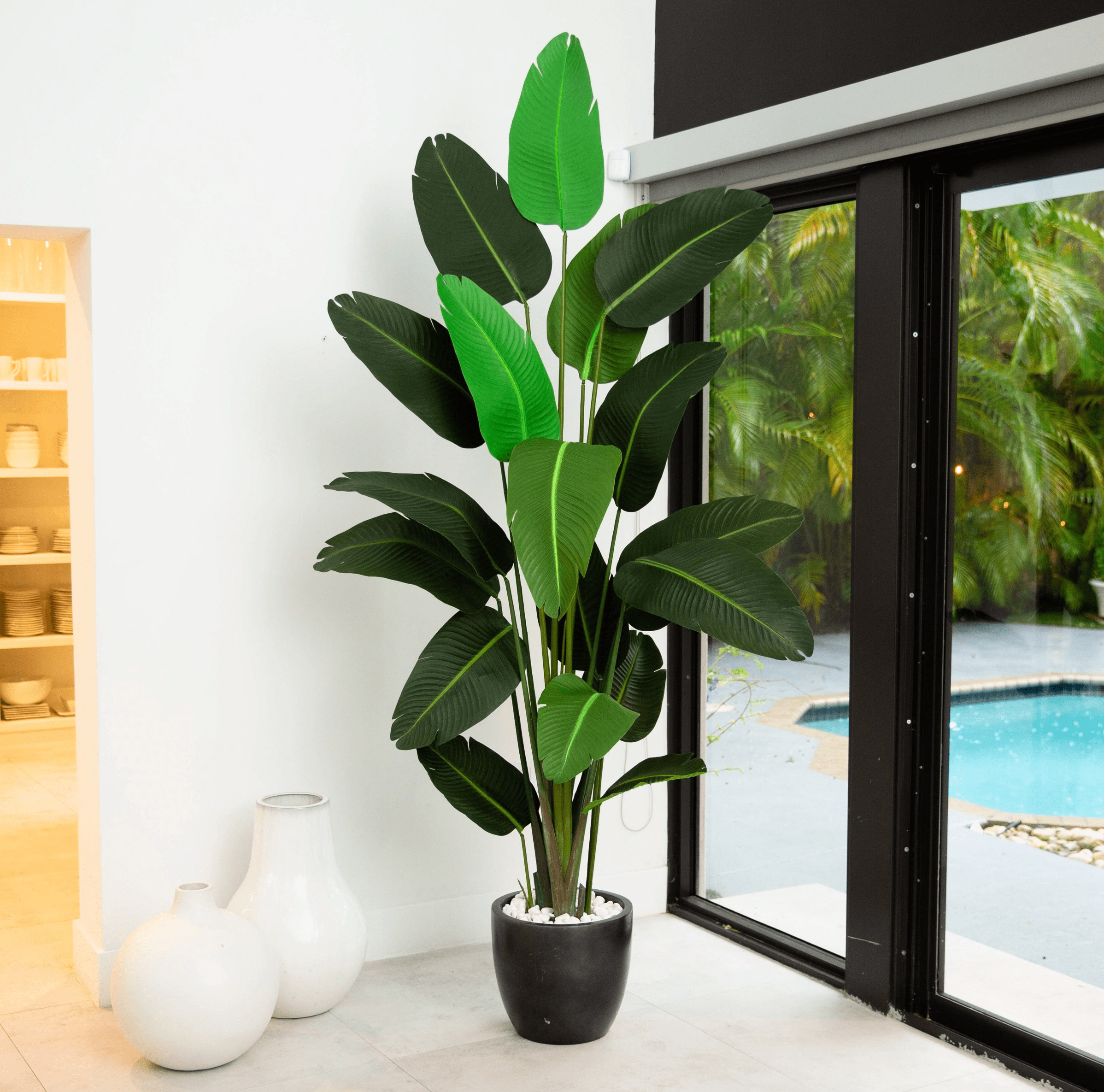The Trendy Traveler's Palm