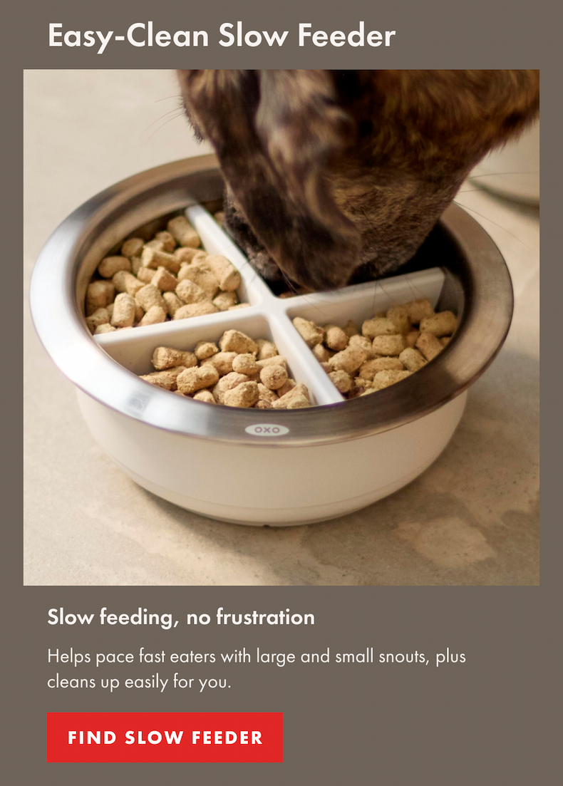 Easy Clean Slow Feeder. Slow feeding, no frustration. Helps pace fast eaters with large and small snouts, plus cleans up easily for you. | FIND SLOW FEEDER