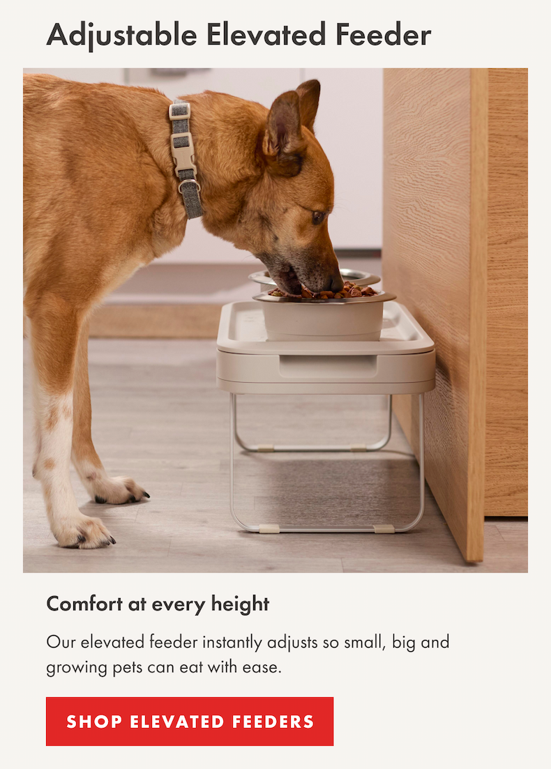 Our elevated feeder instantly adjusts so small, big and growing pets can eat with ease. | SHOP ELEVATED FEEDERS