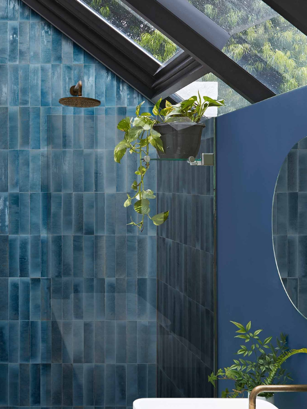 Dwell Cobalt